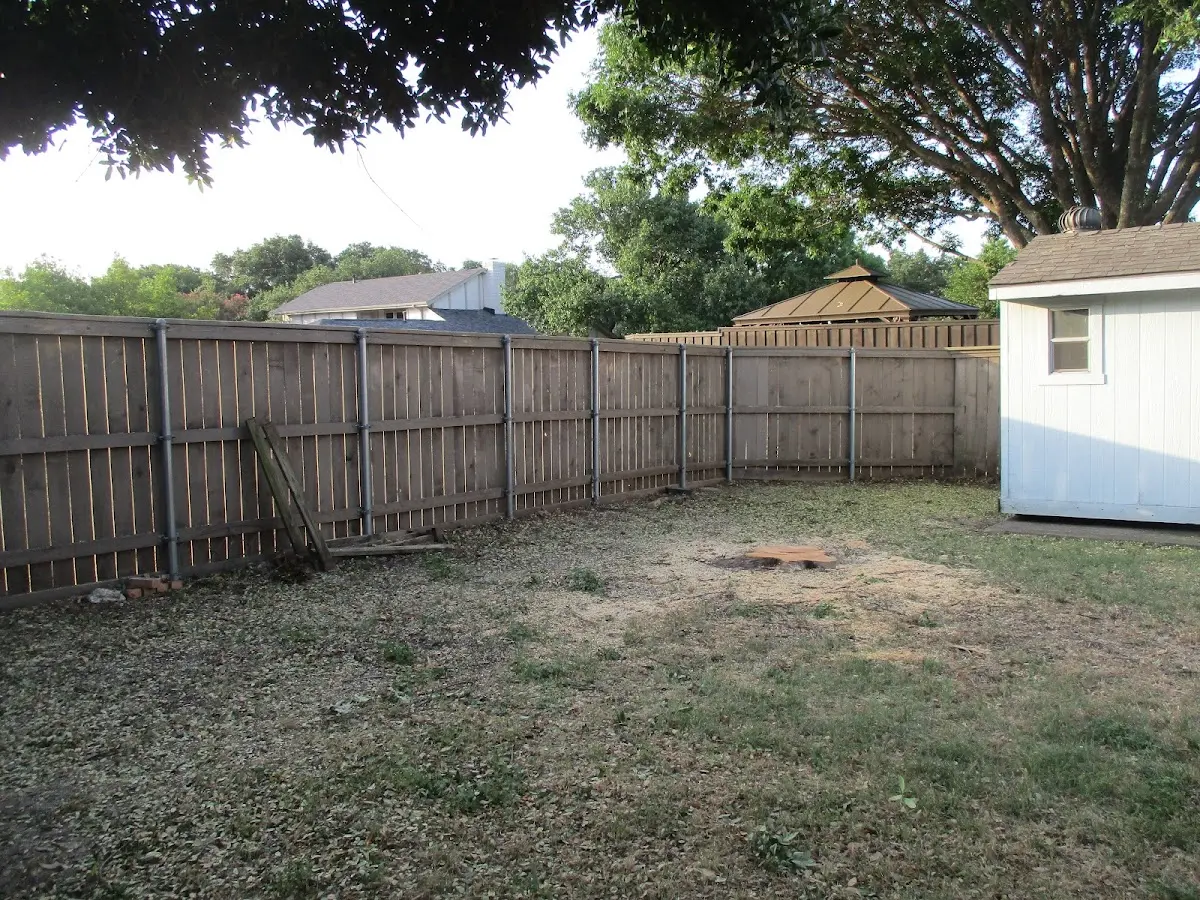 Cleared yard after professional tree removal in Garciasville